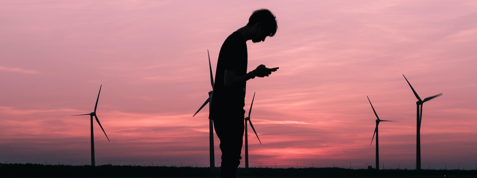 Person looking at their phone behind a windmil